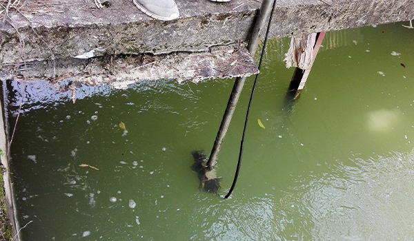 超聲波多普勒流量計 超聲波多普勒流量計