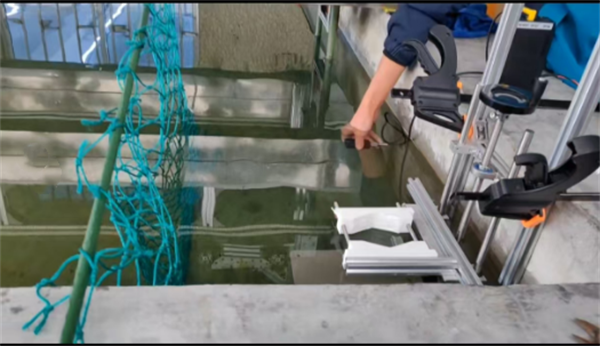 174280671832973.png 71501.png